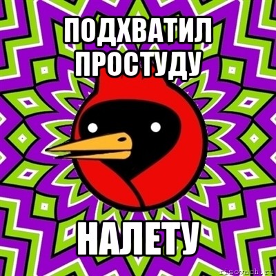 подхватил простуду налету, Мем Омская птица