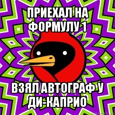 приехал на формулу 1 взял автограф у ди-каприо, Мем Омская птица