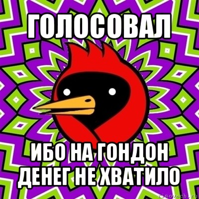 голосовал ибо на гондон денег не хватило, Мем Омская птица