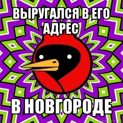 выругался в его адрес в новгороде, Мем Омская птица