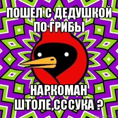 пошел с дедушкой по грибы наркоман штоле,сссука ?, Мем Омская птица