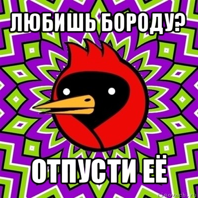 любишь бороду? отпусти её, Мем Омская птица