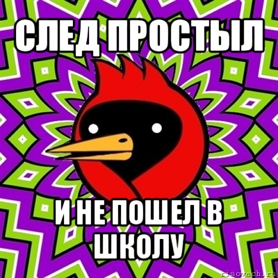 след простыл и не пошел в школу, Мем Омская птица