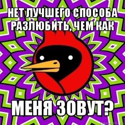 нет лучшего способа разлюбить, чем как меня зовут?, Мем Омская птица