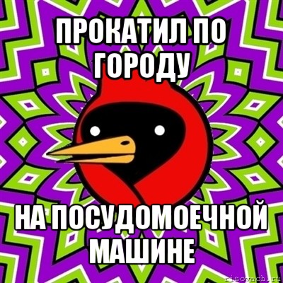 прокатил по городу на посудомоечной машине, Мем Омская птица