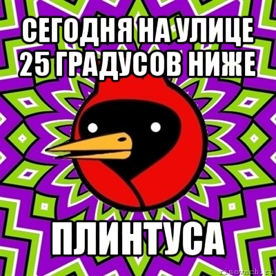 сегодня на улице 25 градусов ниже плинтуса, Мем Омская птица