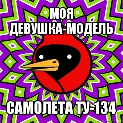 моя девушка-модель самолета ту-134