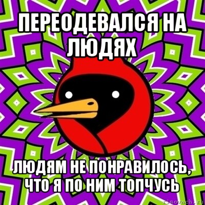 переодевался на людях людям не понравилось, что я по ним топчусь, Мем Омская птица