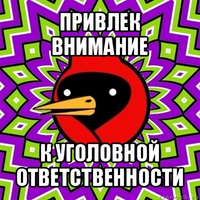 привлек внимание к уголовной ответственности, Мем Омская птица