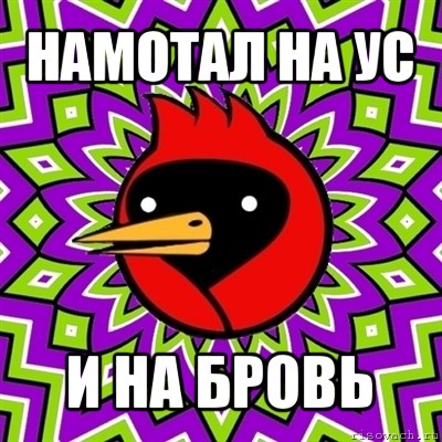 намотал на ус и на бровь