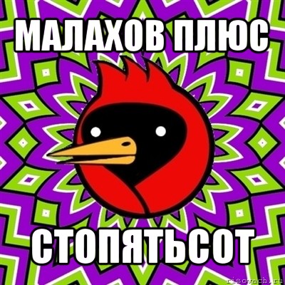 малахов плюс стопятьсот