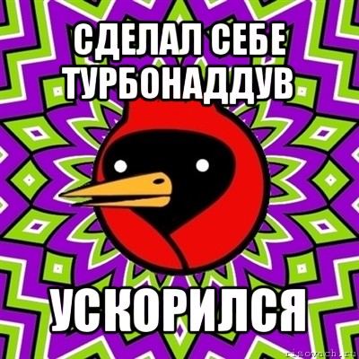 сделал себе турбонаддув ускорился, Мем Омская птица