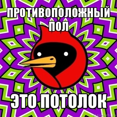 противоположный пол это потолок