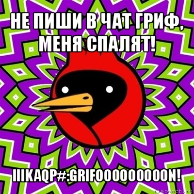 не пиши в чат гриф, меня спалят! iiikaqp#:grifooooooooon!, Мем Омская птица