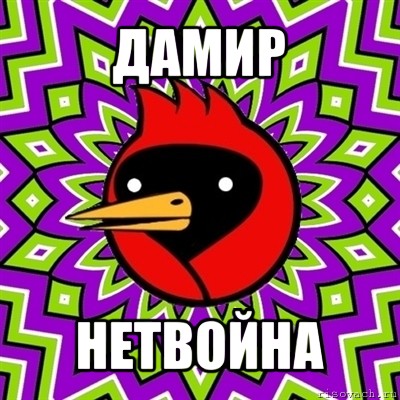 дамир нетвойна, Мем Омская птица