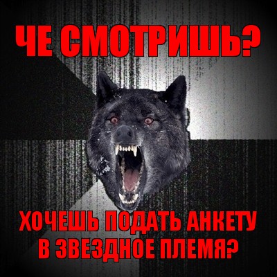 че смотришь? хочешь подать анкету в звездное племя?, Мем Сумасшедший волк