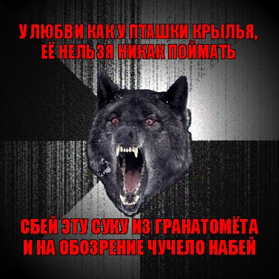 у любви как у пташки крылья,
её нельзя никак поймать сбей эту суку из гранатомёта
и на обозрение чучело набей, Мем Сумасшедший волк