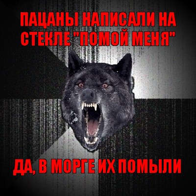 пацаны написали на стекле "помой меня" да, в морге их помыли, Мем Сумасшедший волк