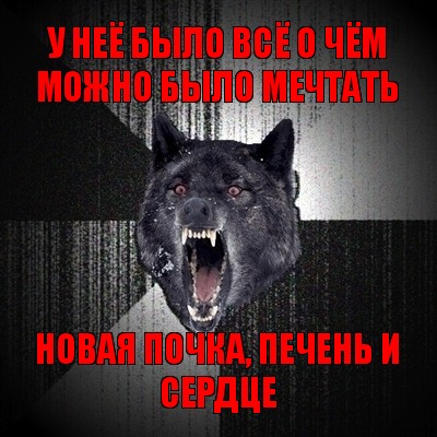 у неё было всё о чём можно было мечтать новая почка, печень и сердце, Мем Сумасшедший волк