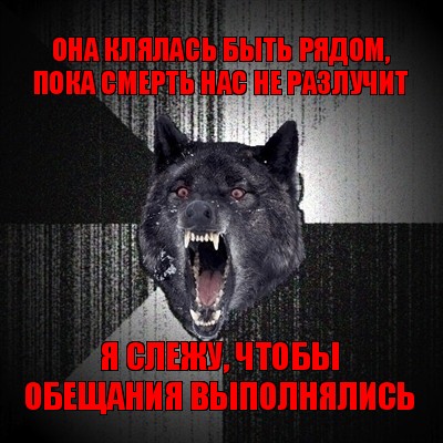 она клялась быть рядом, пока смерть нас не разлучит я слежу, чтобы обещания выполнялись, Мем Сумасшедший волк