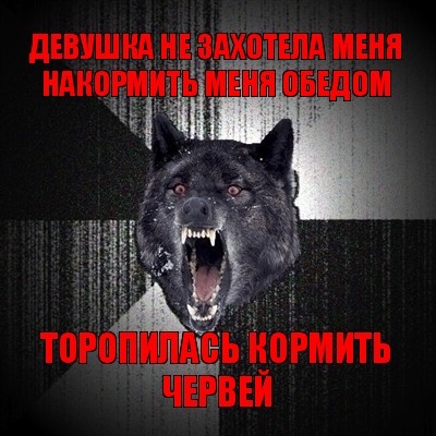 девушка не захотела меня накормить меня обедом торопилась кормить червей, Мем Сумасшедший волк