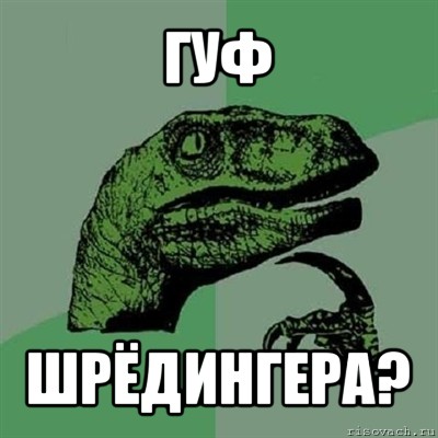 гуф шрёдингера?