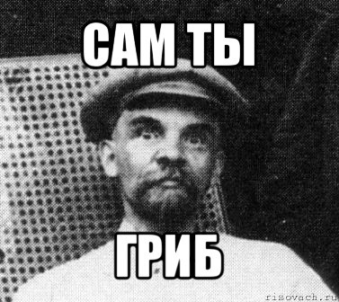 сам ты гриб