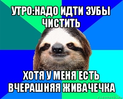 утро:надо идти зубы чистить хотя у меня есть вчерашняя живачечка, Мем Ленивец