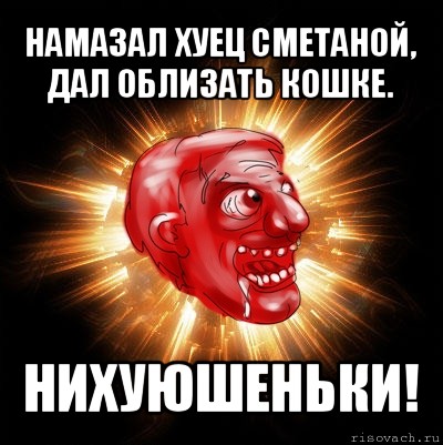 намазал хуец сметаной, дал облизать кошке. нихуюшеньки!, Мем Нихуюшеньки