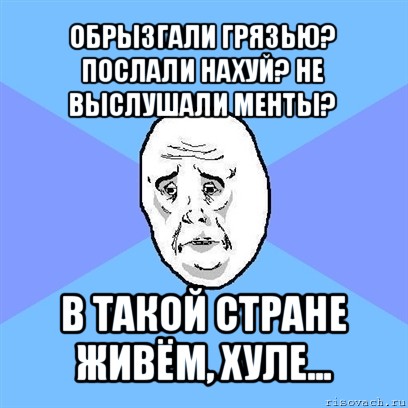 обрызгали грязью? послали нахуй? не выслушали менты? в такой стране живём, хуле..., Мем Okay face