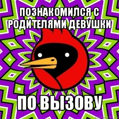 познакомился с родителями девушки по вызову, Мем Омская птица