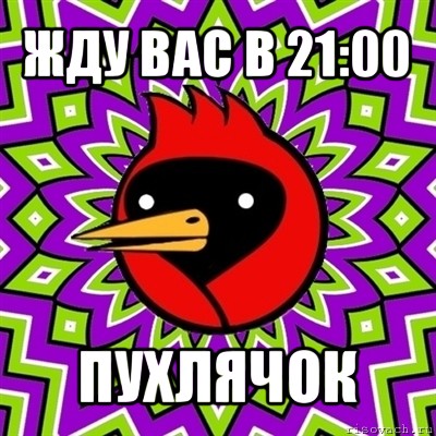 жду вас в 21:00 пухлячок, Мем Омская птица