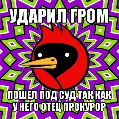 ударил гром пошел под суд так как у него отец прокурор, Мем Омская птица