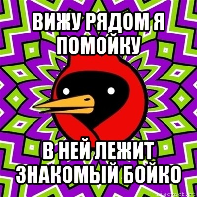 вижу рядом я помойку в ней лежит знакомый бойко, Мем Омская птица