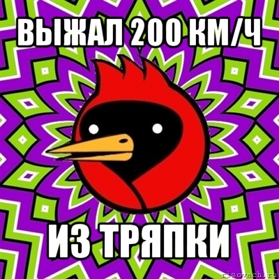 выжал 200 км/ч из тряпки, Мем Омская птица