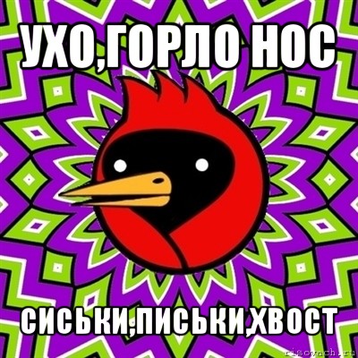 ухо,горло нос сиськи,письки,хвост