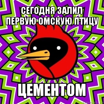 сегодня залил первую омскую птицу цементом, Мем Омская птица