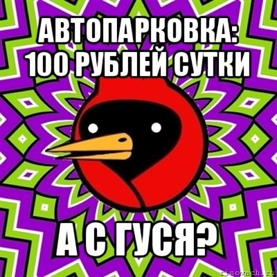 автопарковка: 100 рублей сутки а с гуся?, Мем Омская птица