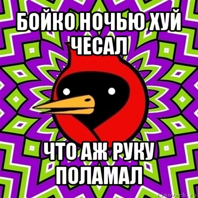 бойко ночью хуй чесал что аж руку поламал, Мем Омская птица