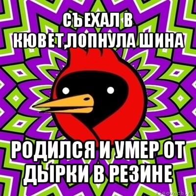 съехал в кювет,лопнула шина родился и умер от дырки в резине, Мем Омская птица