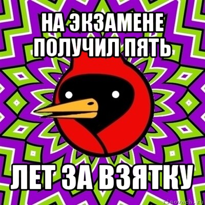 на экзамене получил пять лет за взятку, Мем Омская птица