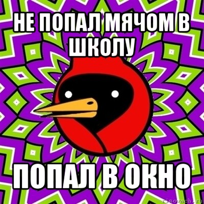 не попал мячом в школу попал в окно, Мем Омская птица