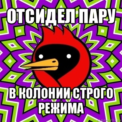 отсидел пару в колонии строго режима, Мем Омская птица