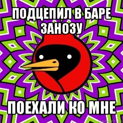 подцепил в баре занозу поехали ко мне, Мем Омская птица