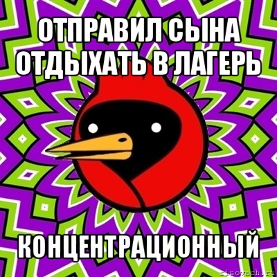 отправил сына отдыхать в лагерь концентрационный, Мем Омская птица