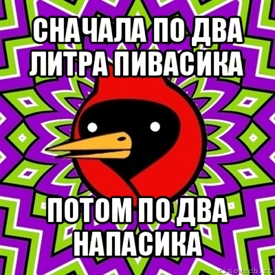 сначала по два литра пивасика потом по два напасика, Мем Омская птица