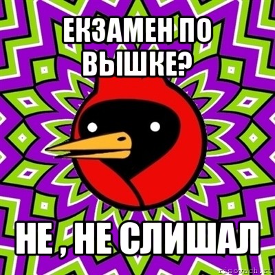 екзамен по вышке? не , не слишал, Мем Омская птица