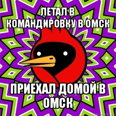 летал в командировку в омск приехал домой в омск, Мем Омская птица