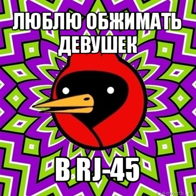 люблю обжимать девушек в rj-45, Мем Омская птица