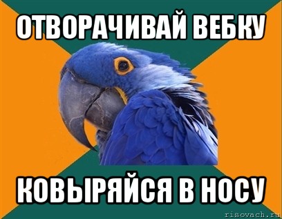 отворачивай вебку ковыряйся в носу, Мем Попугай параноик